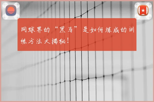 网球界的“黑马”是如何炼成的训练方法大揭秘!