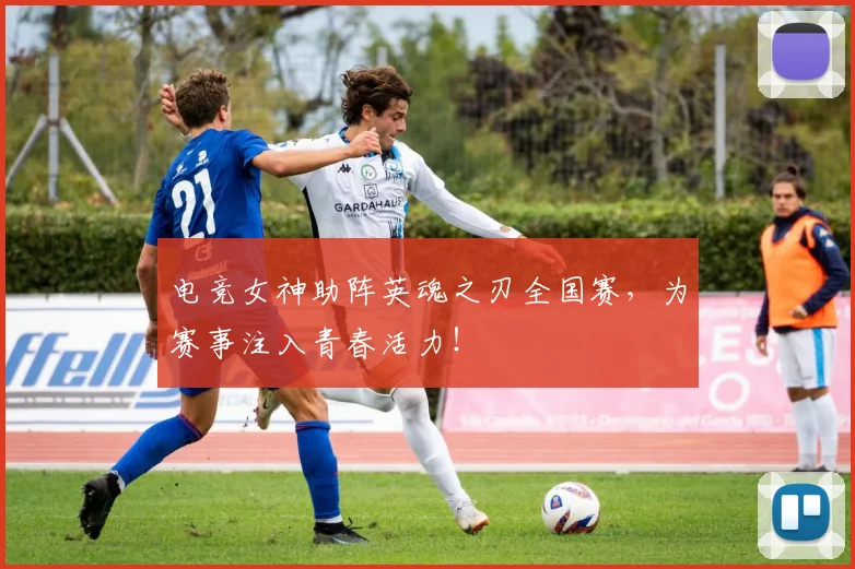 电竞女神助阵英魂之刃全国赛,为赛事注入青春活力!
